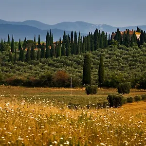 Tenuta Di Poggio Cavallo , Istia dʼOmbrone Italien